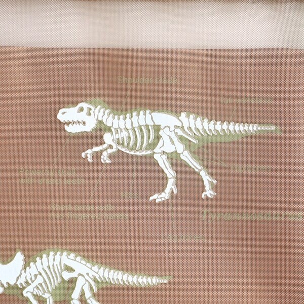 Green Flash STUDY HOLIC Mesh A5 Pouch ST-223 Paleontology