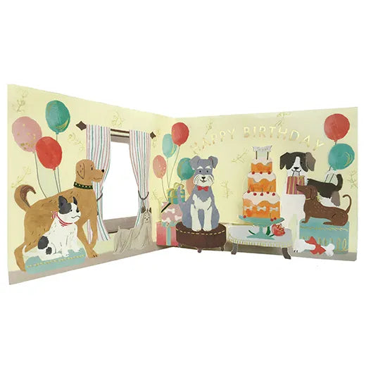 Birthday window party card