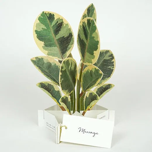Blooming Card