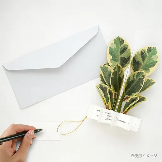 Blooming Card