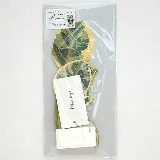 Blooming Card