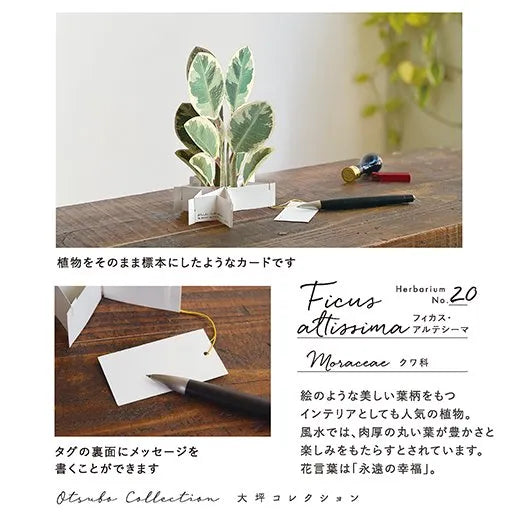 Blooming Card