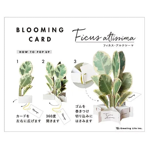 Blooming Card