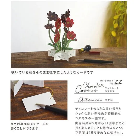 Blooming Card