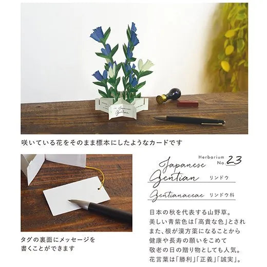 Blooming Card
