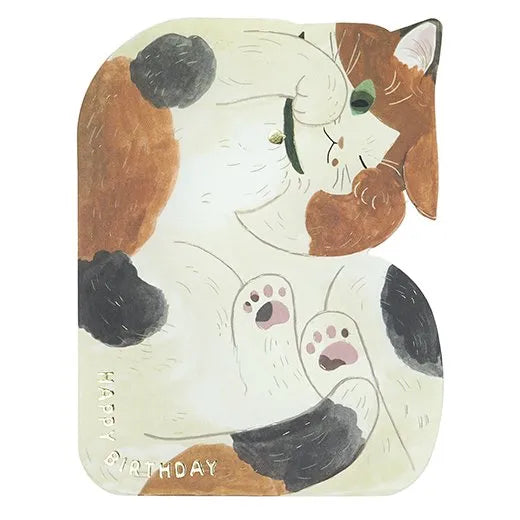 Birthday Cuddly Cat Card Mike LE-26