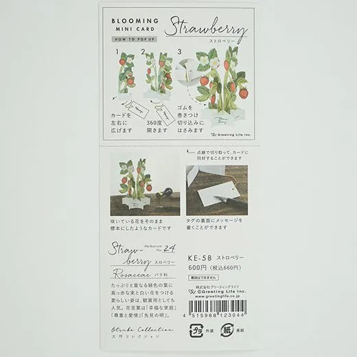 Blooming Mini Card Strawberry KE-58