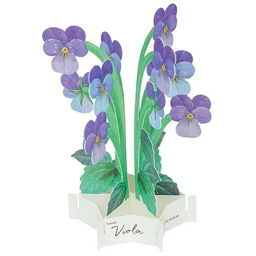 Blooming Mini Card Viola KE-60