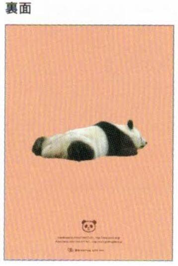2026 Panda A6 soft cover monthly planner