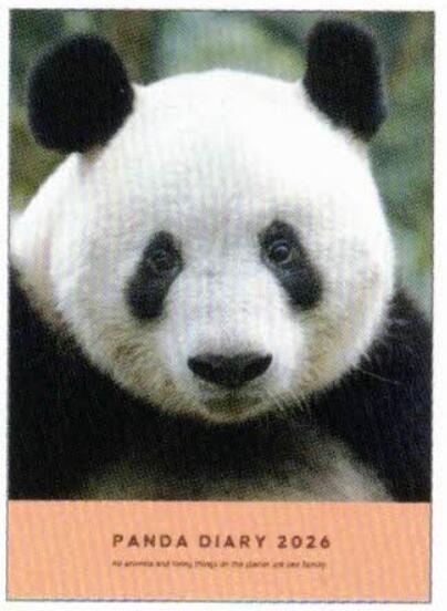 2026 Panda A6 soft cover monthly planner