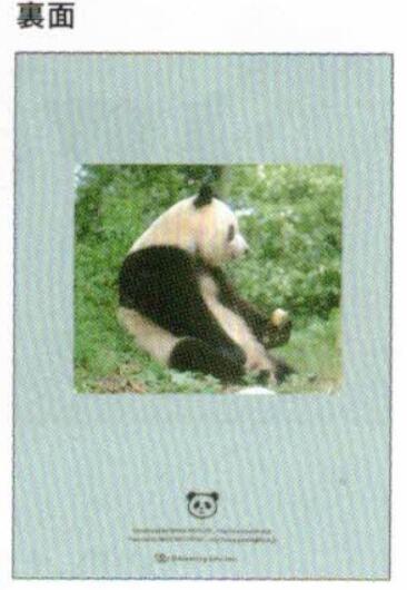 2026 Panda A6 soft cover monthly planner