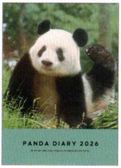 2026 Panda A6 soft cover monthly planner