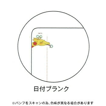 COCO Coco-chan Slow Journal Night Sky Diary A6 Slim