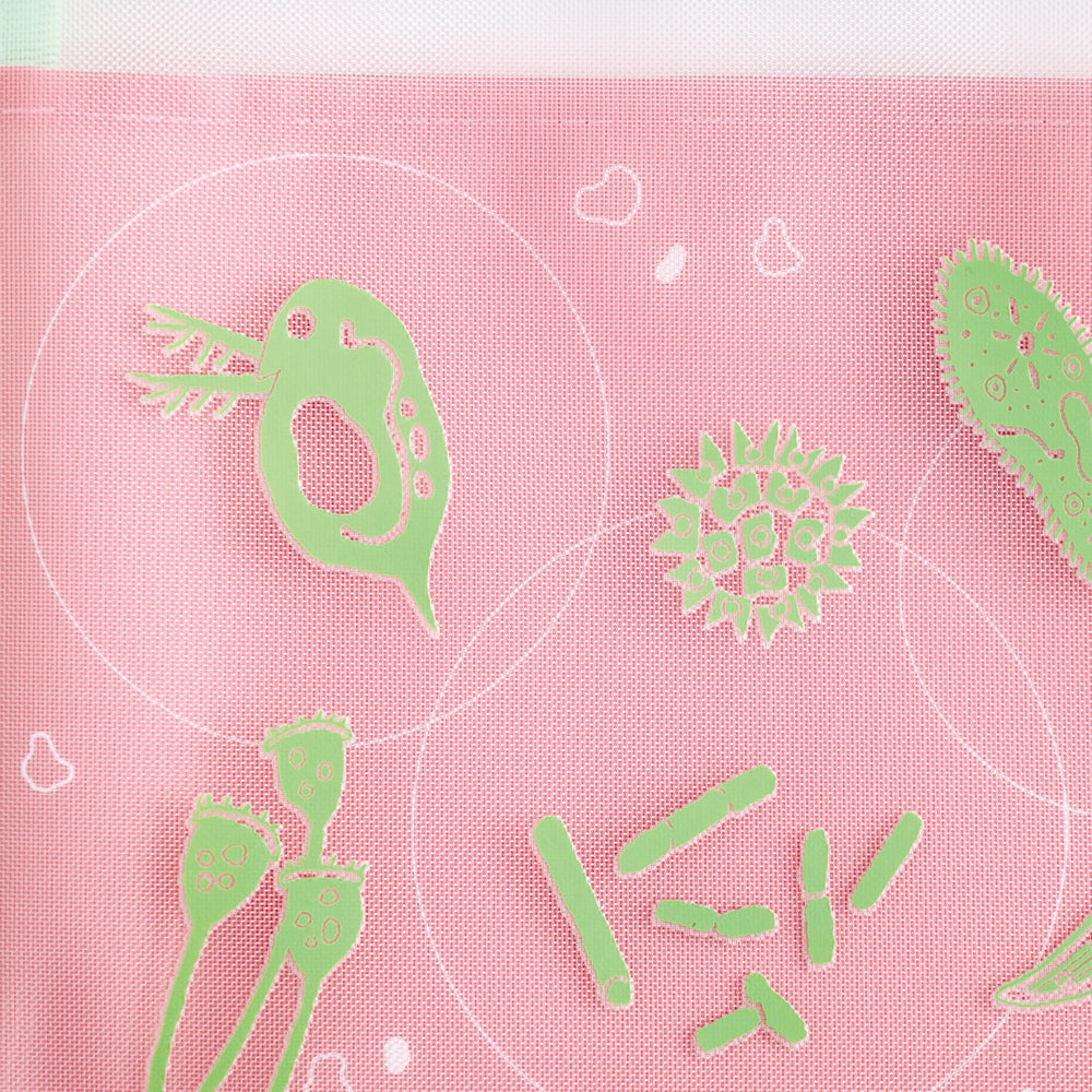 STUDY HOLIC Mesh A5 Pouch <Microbiology> ST-228