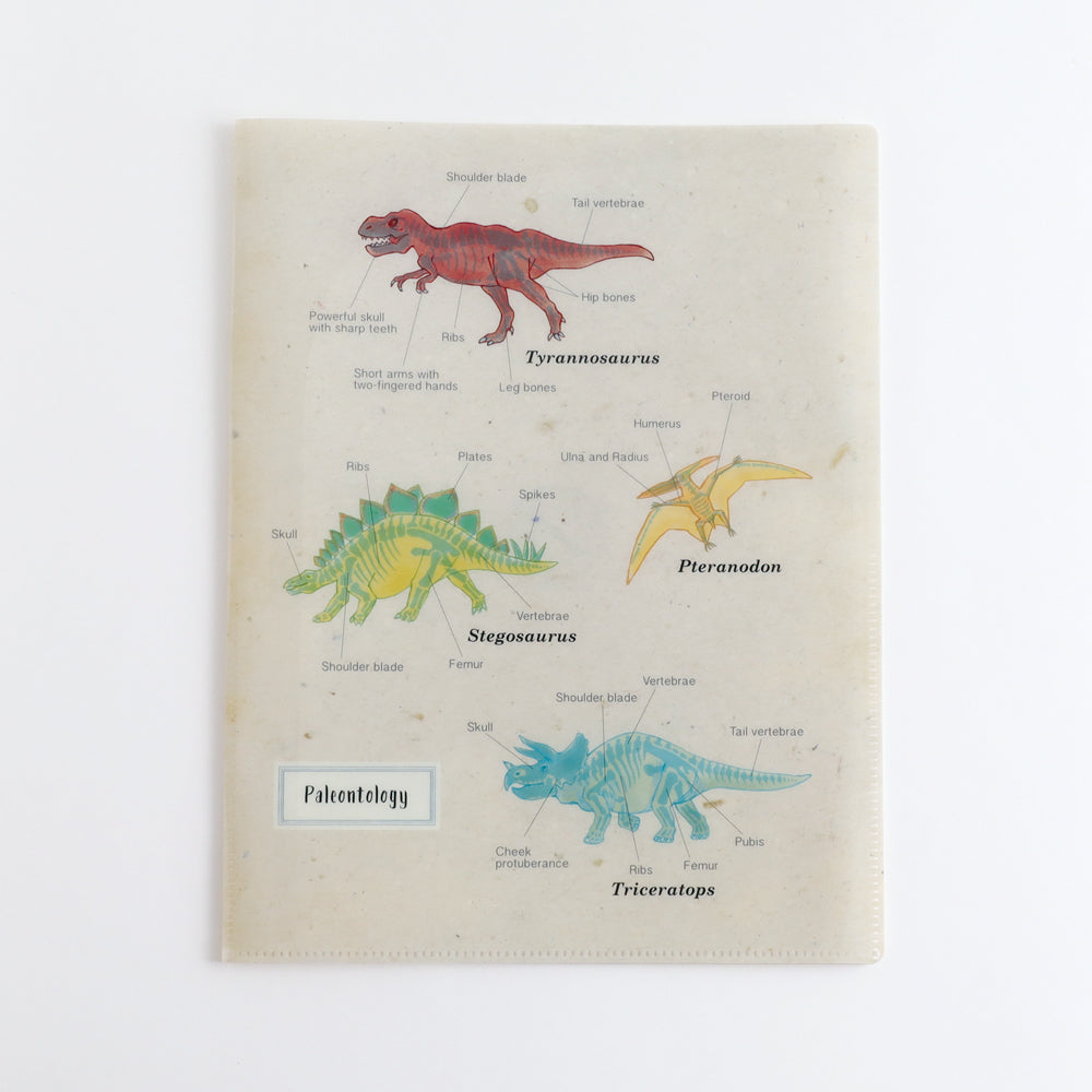 STUDY HOLIC A4 Clear Book File <Paleontology> ST-241