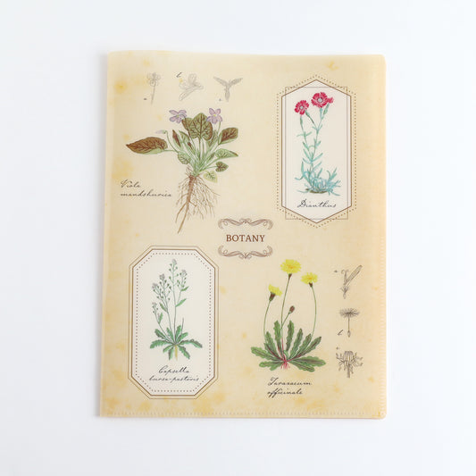 STUDY HOLIC A4 Clear Book File <Botany> ST-248