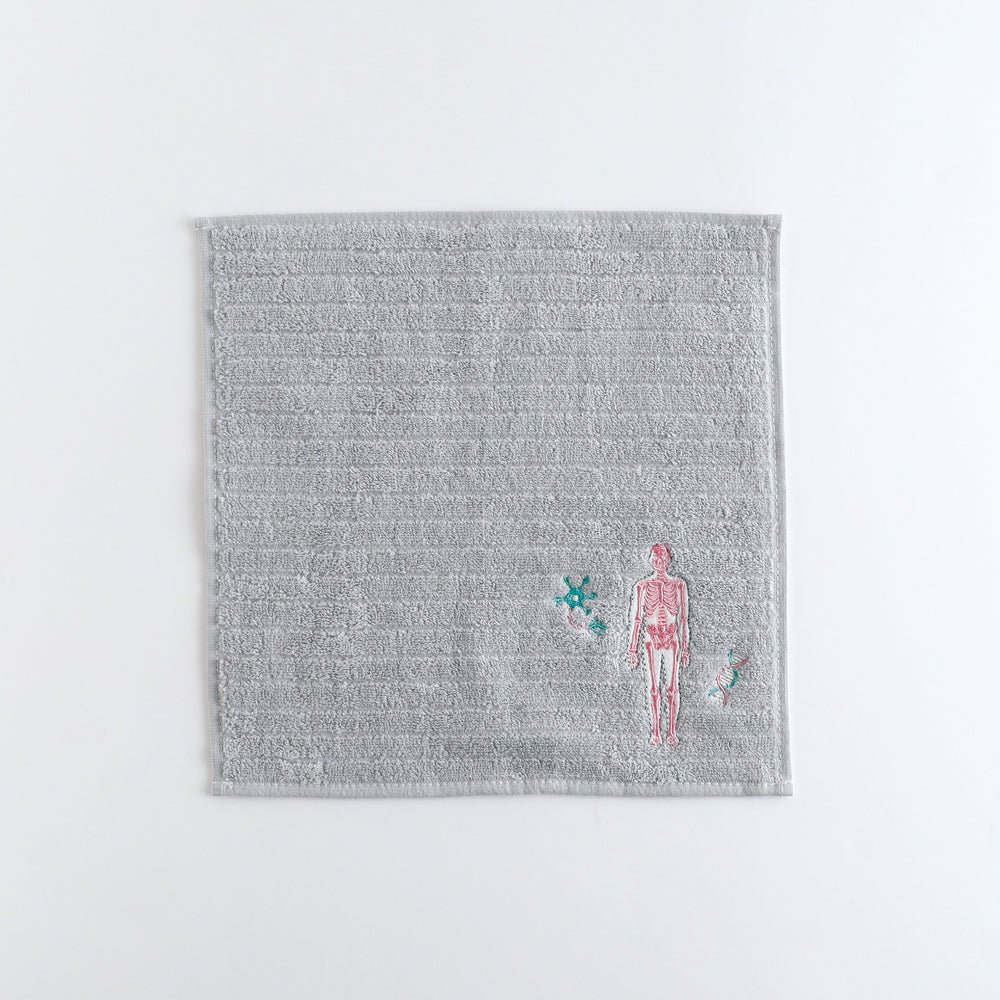 STUDY HOLIC Towel Handkerchief <Human Biology> ST-253