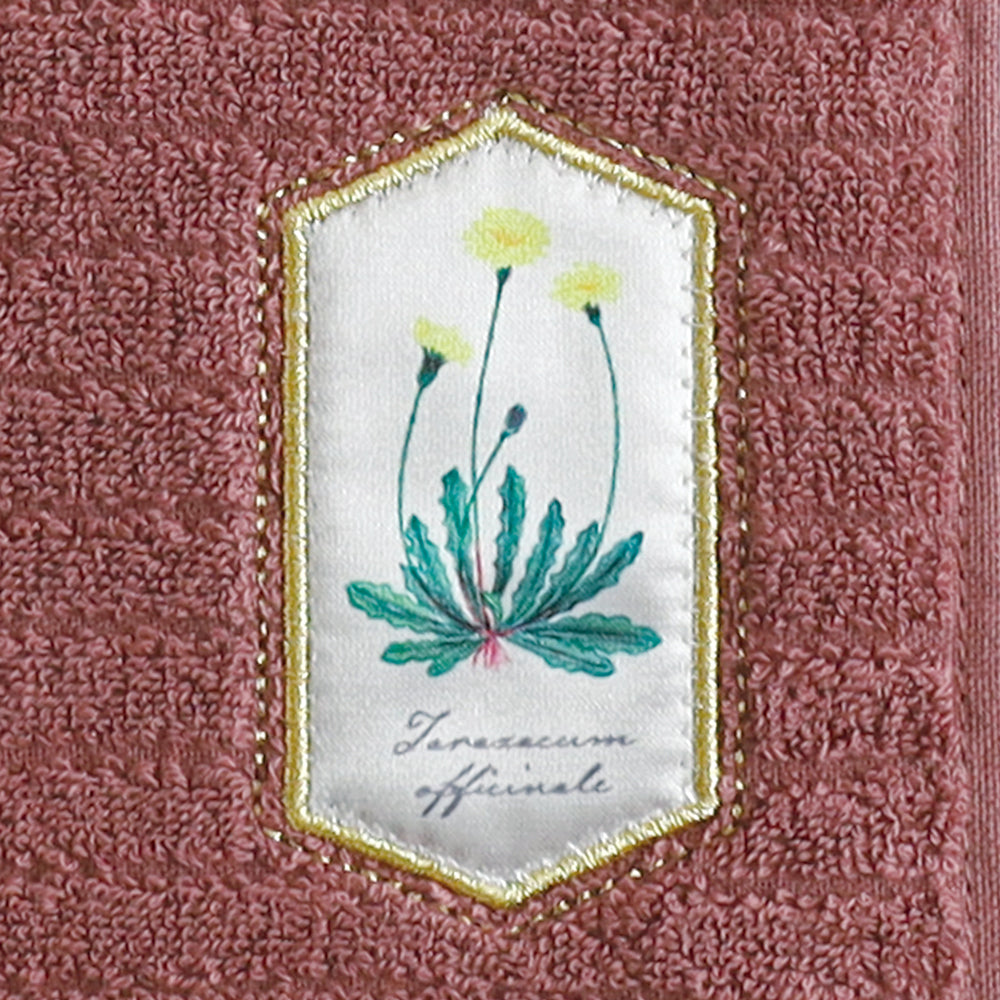STUDY HOLIC Towel Handkerchief <Botany> ST-254