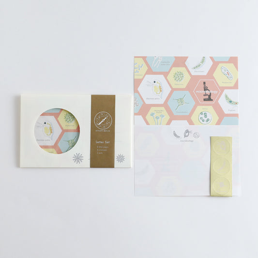STUDY HOLIC Letter Set <Microbiology> ST-261
