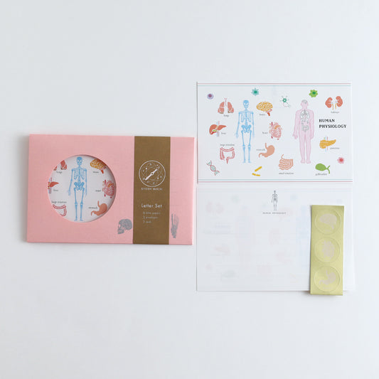 STUDY HOLIC Letter Set <Human Biology> ST-262