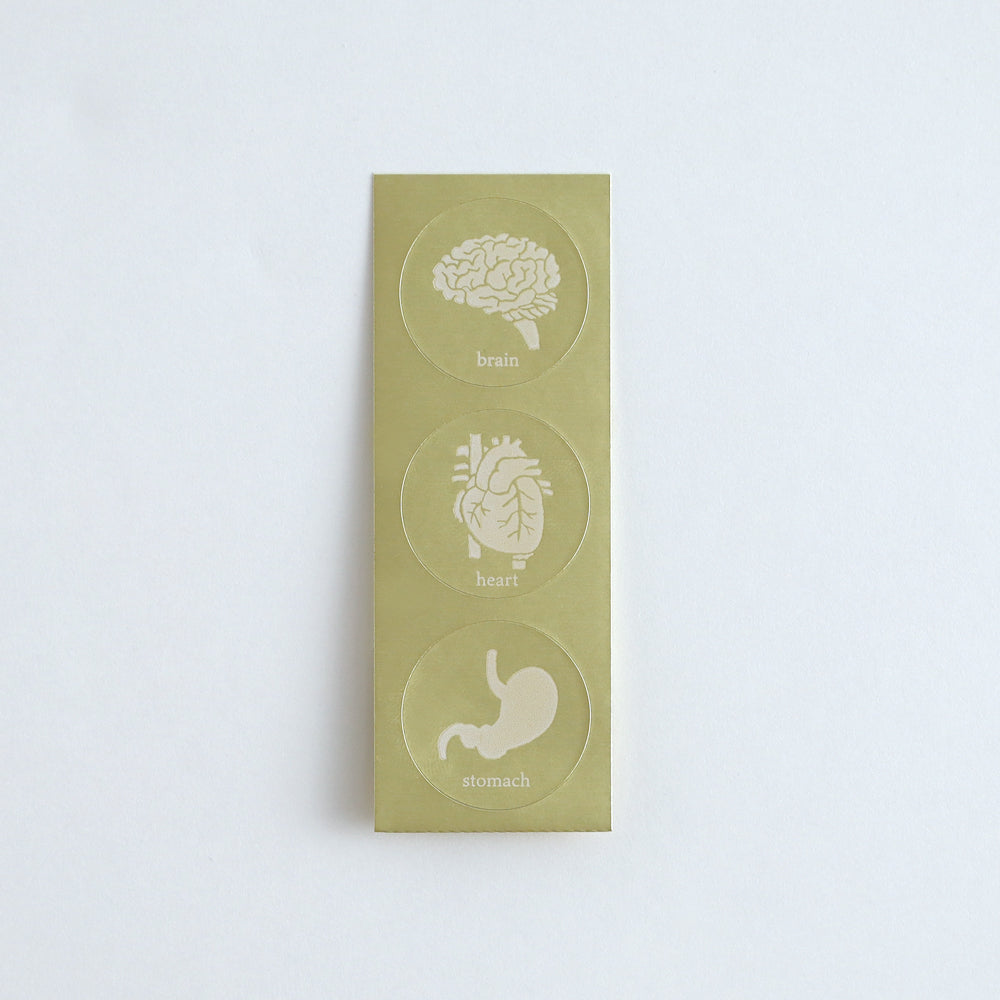 STUDY HOLIC Letter Set <Human Biology> ST-262