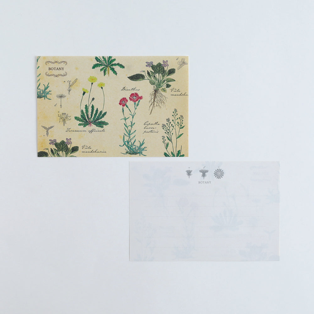 STUDY HOLIC Letter Set <Botany> ST-263