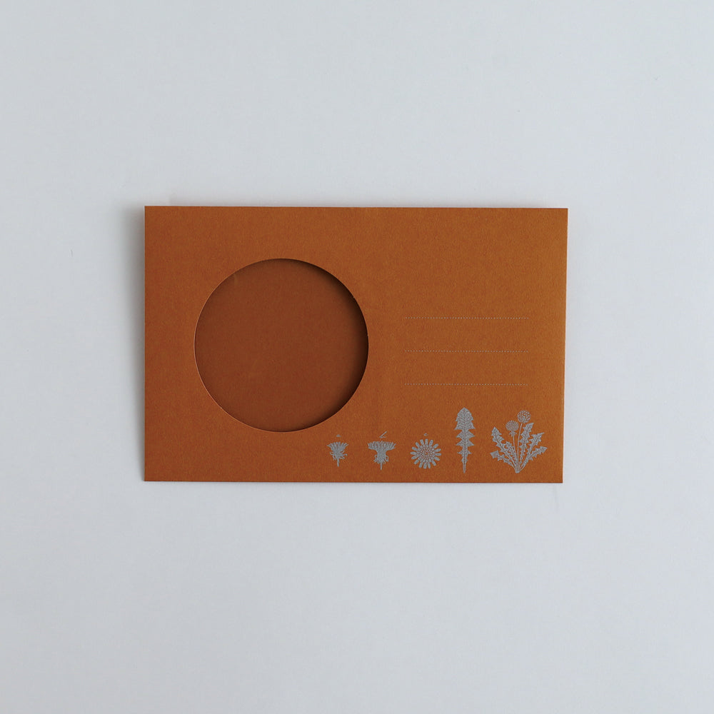 STUDY HOLIC Letter Set <Botany> ST-263