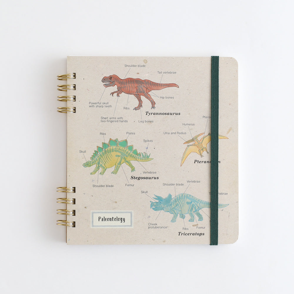 STUDY HOLIC Ring Notebook Square <Paleontology> ST-265