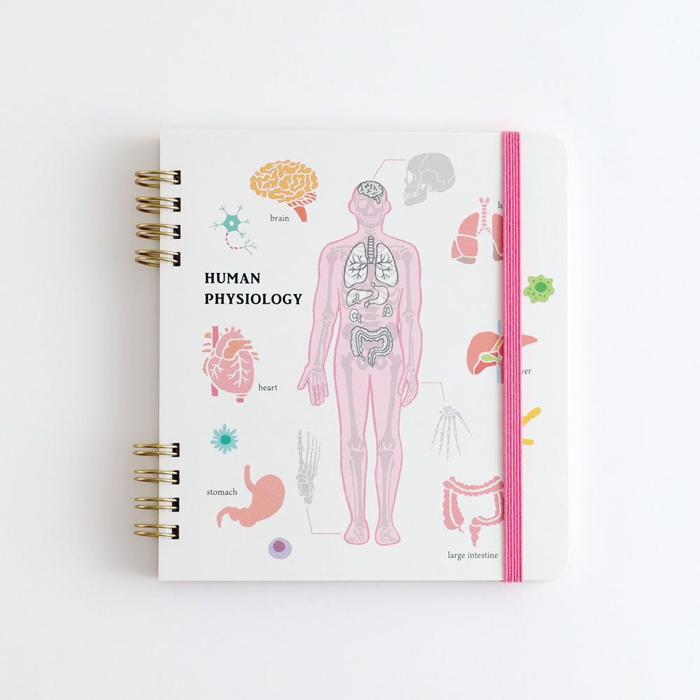 STUDY HOLIC Ring Notebook Square <Human Biology> ST-271