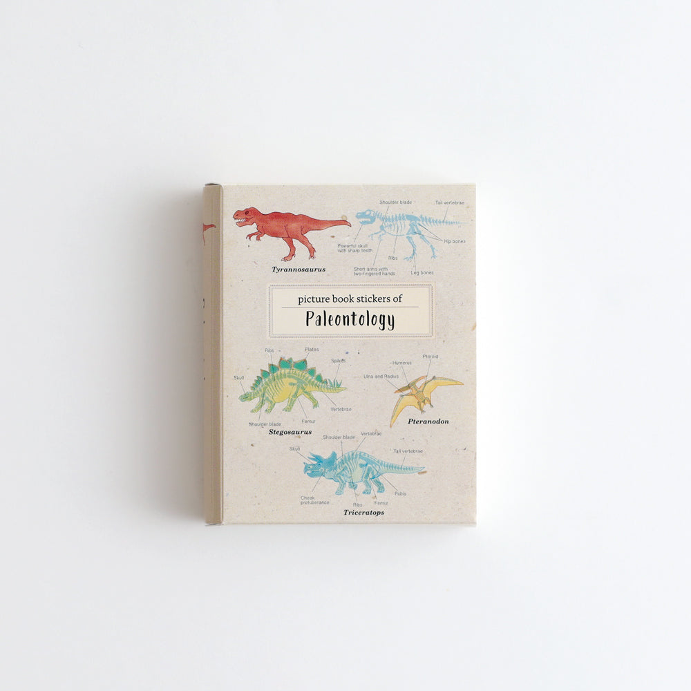 STUDY HOLIC Flake Stickers with Picture Book-Style Case <Paleontology> ST-274