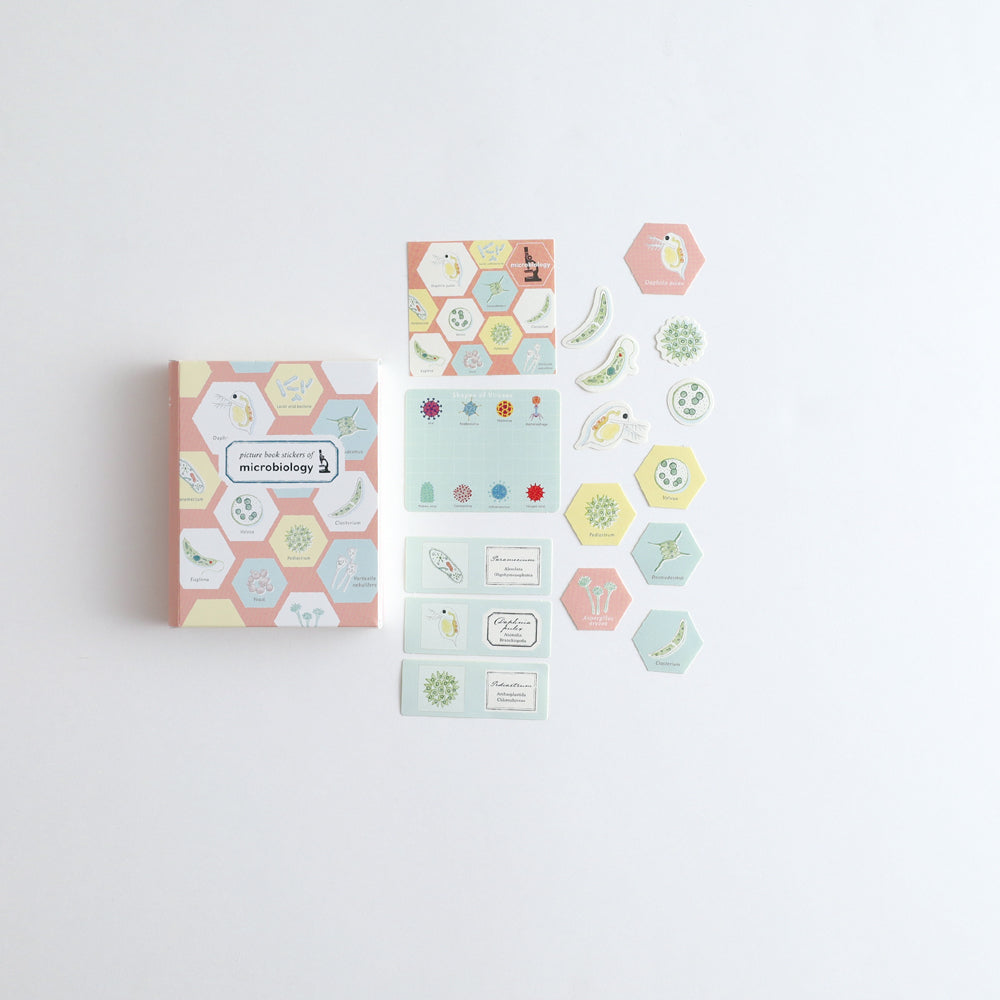 STUDY HOLIC Flake stickers with illustrated case <Microbiology> ST-279