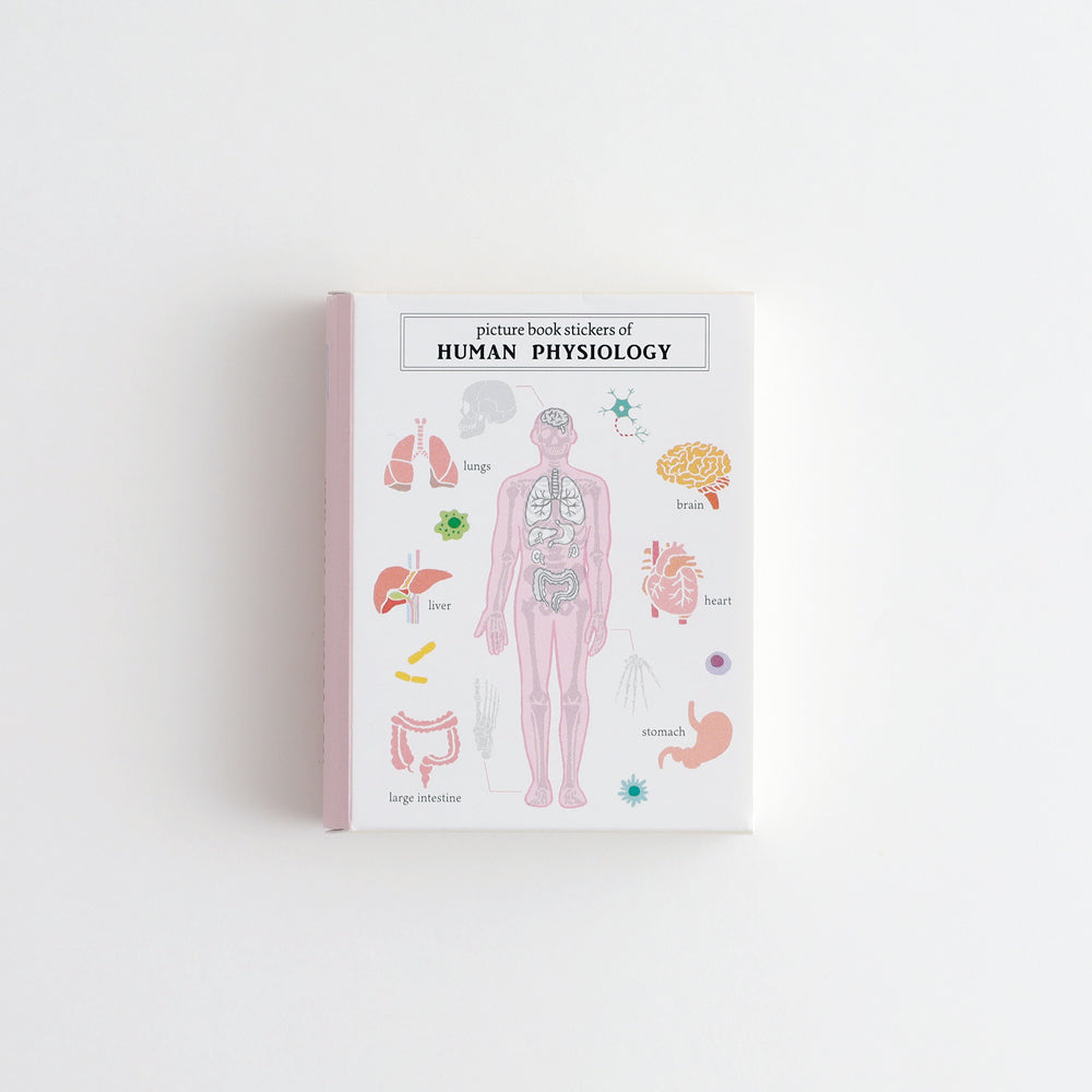 STUDY HOLIC Flake Stickers with Picture Book Case <Human Biology> ST-280