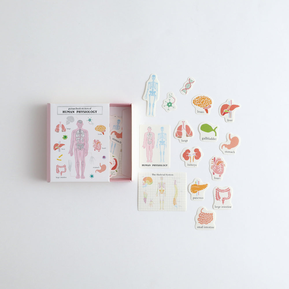 STUDY HOLIC Flake Stickers with Picture Book Case <Human Biology> ST-280