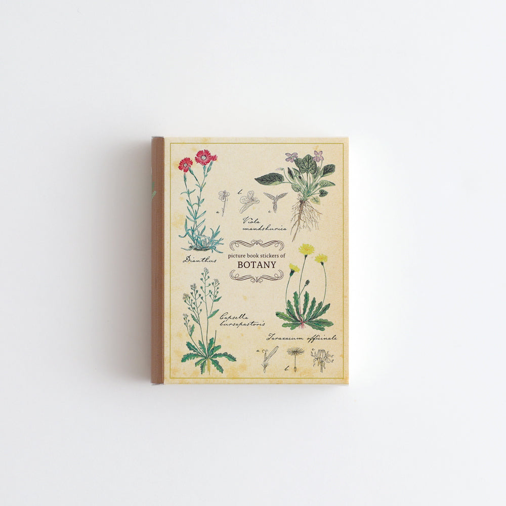 STUDY HOLIC Flake stickers with illustrated case <Botany> ST-281