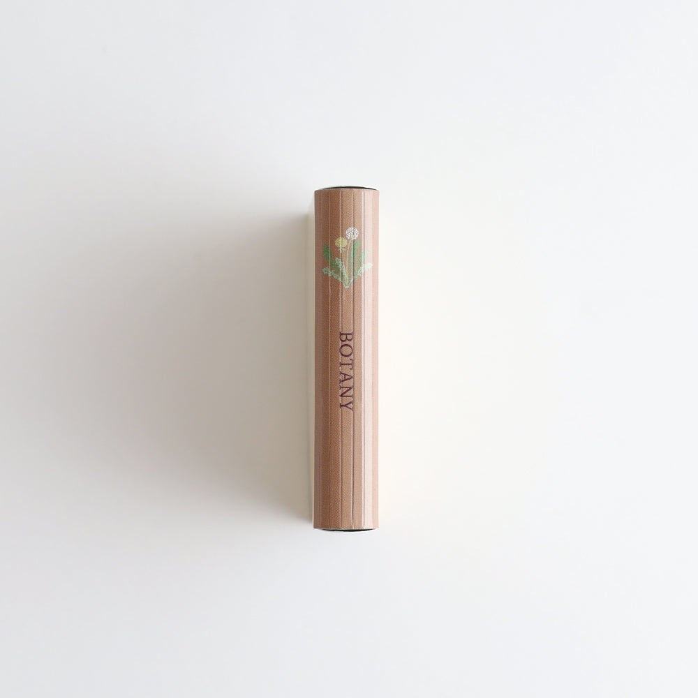 STUDY HOLIC Flake stickers with illustrated case <Botany> ST-281