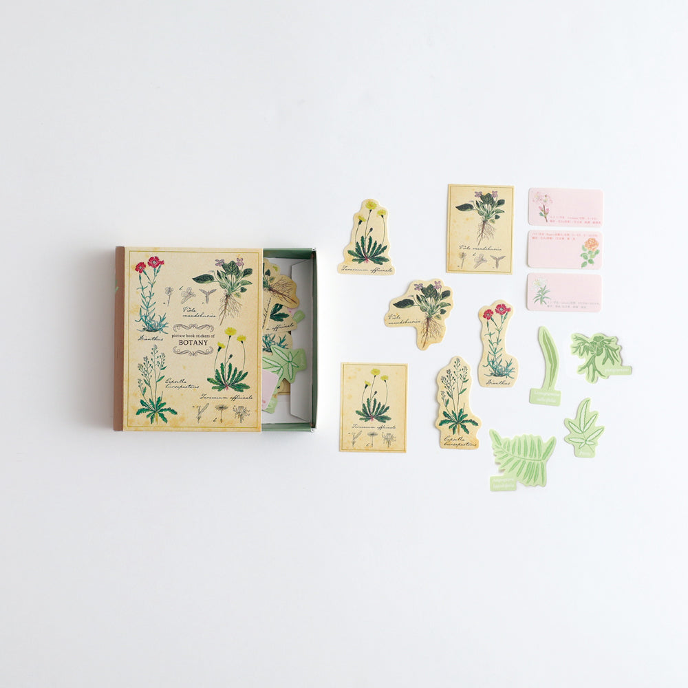 STUDY HOLIC Flake stickers with illustrated case <Botany> ST-281