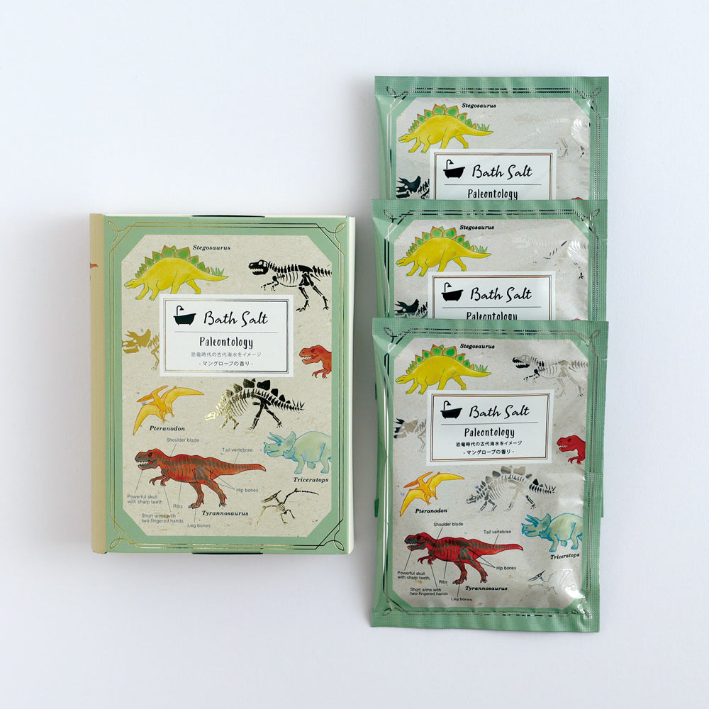 STUDY HOLIC Bath Salts with Picture Book Box <Paleontology> ST-287
