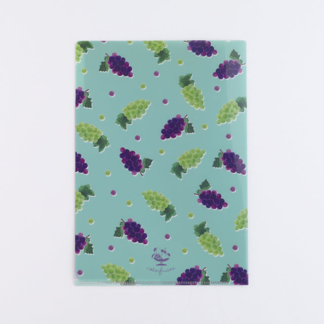Green Flash Color fruits A5 Pocket Clear File