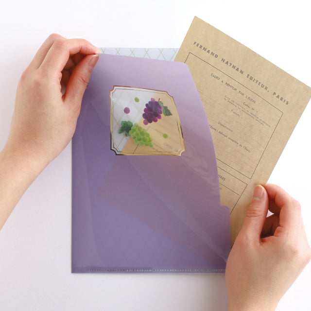 Green Flash Color fruits A5 Pocket Clear File