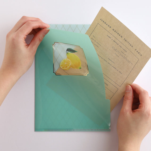 Green Flash Color fruits A5 Pocket Clear File