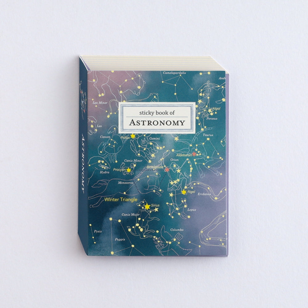 Green Flash STUDY HOLIC series Sticky Book