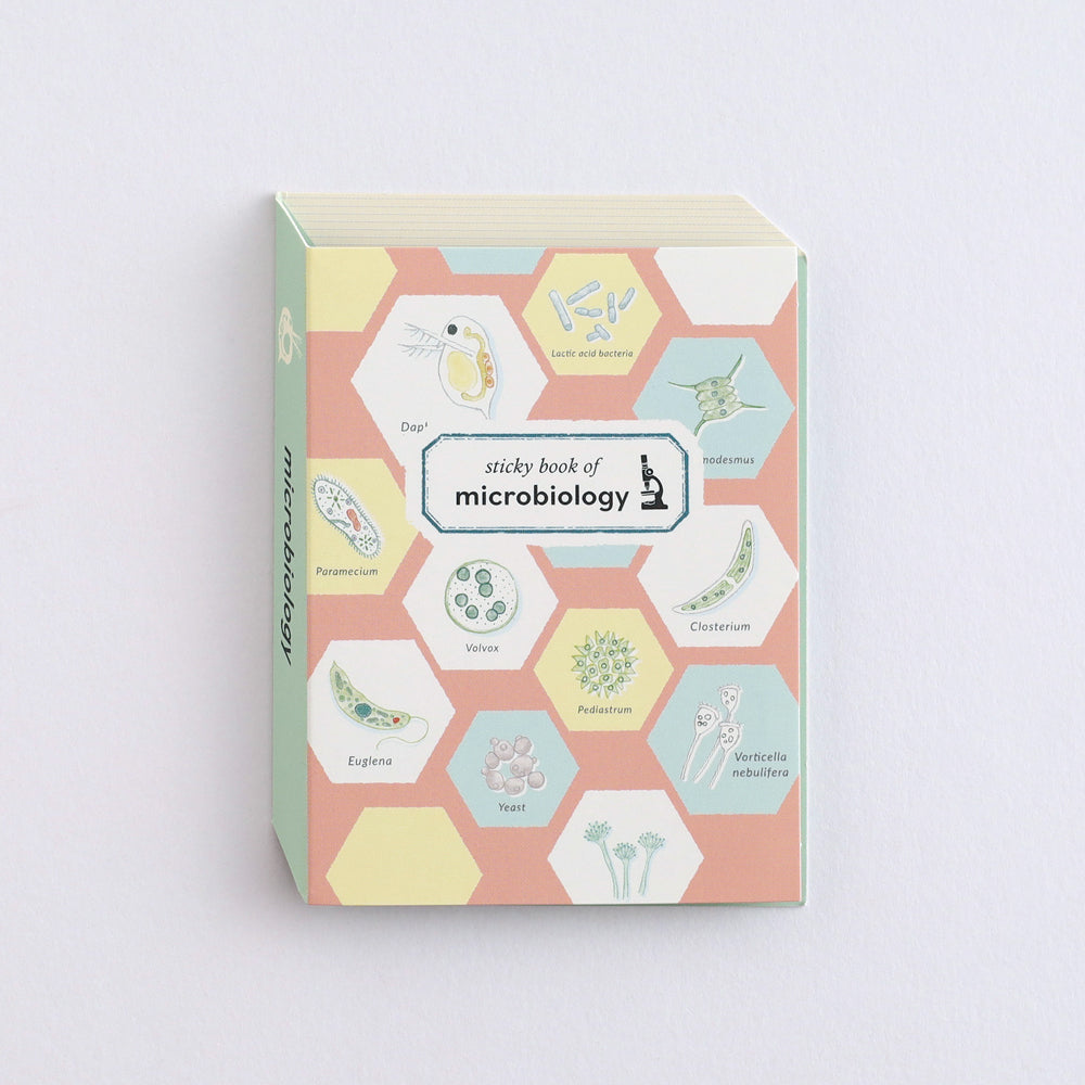 Green Flash STUDY HOLIC series Sticky Book