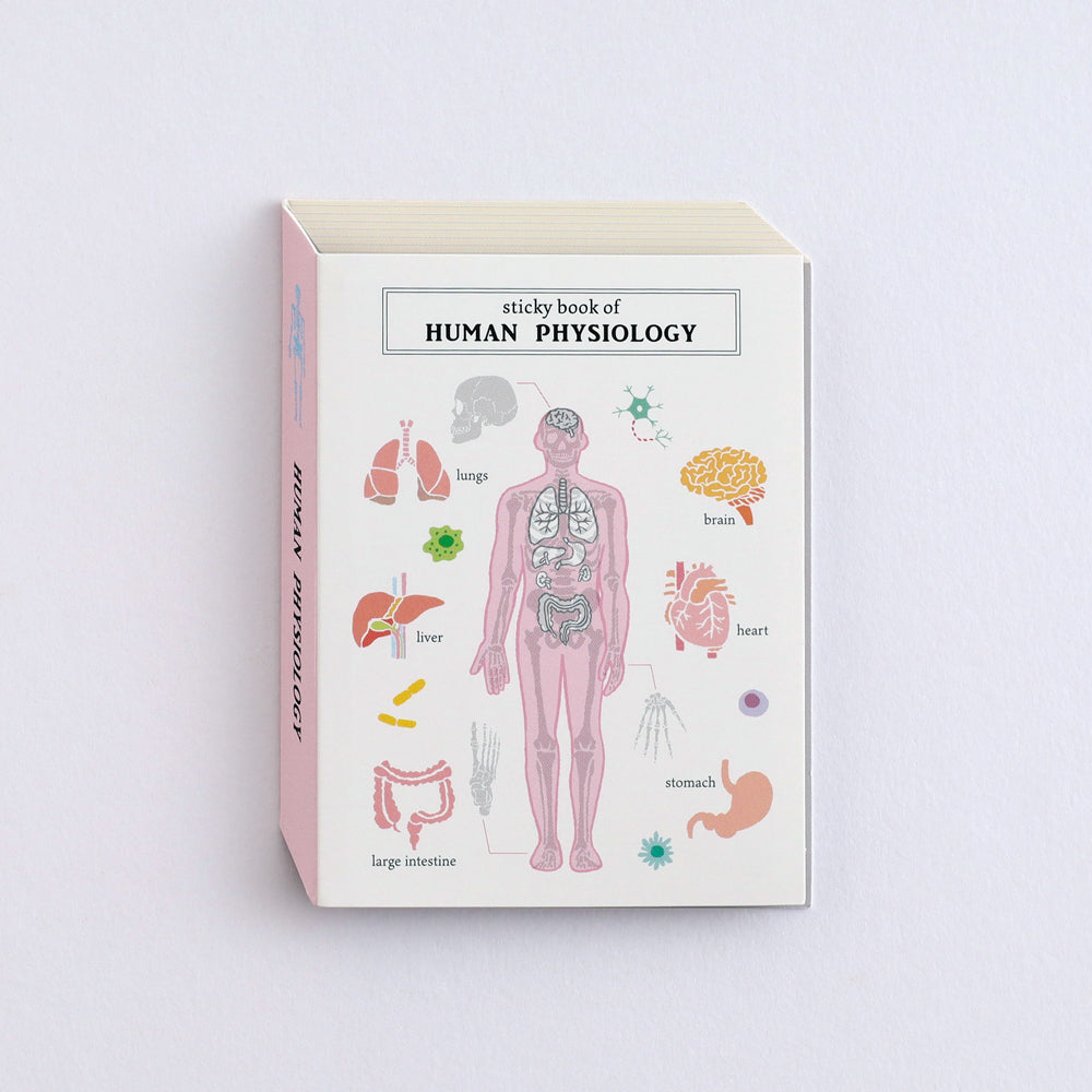 Green Flash STUDY HOLIC series Sticky Book