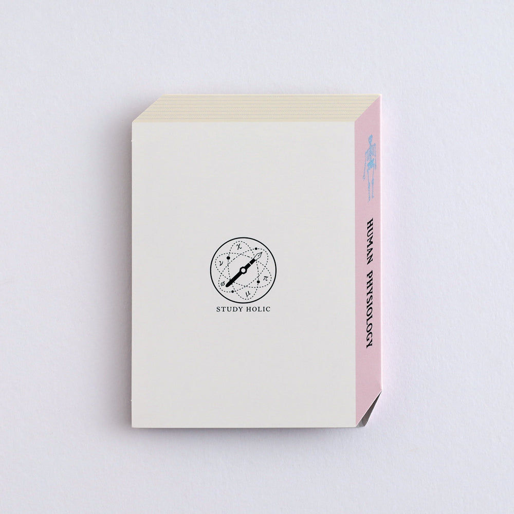 Green Flash STUDY HOLIC series Sticky Book