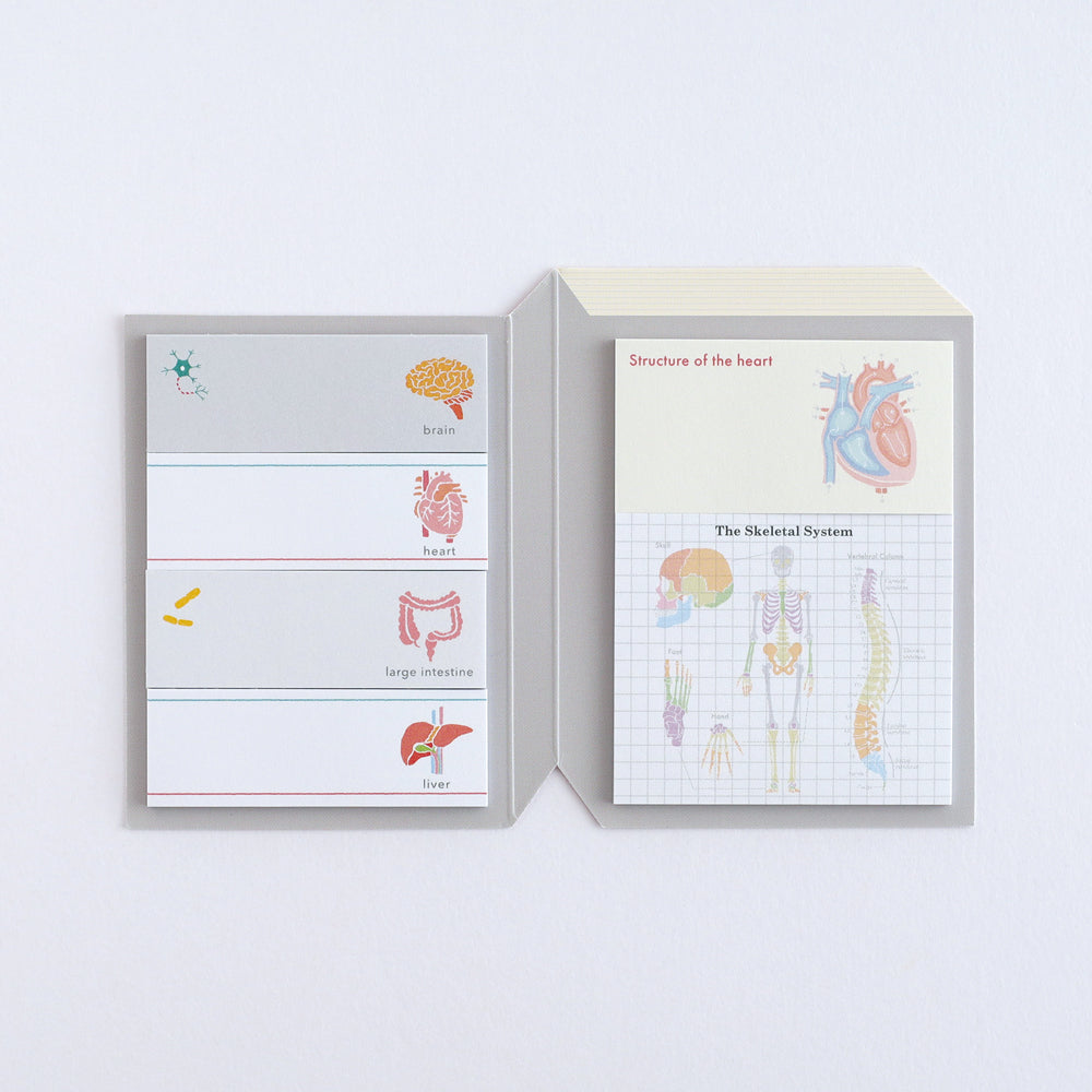 Green Flash STUDY HOLIC series Sticky Book