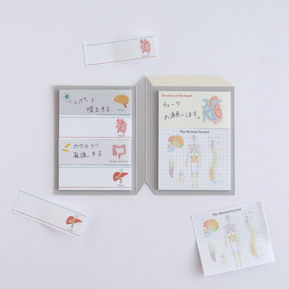 Green Flash STUDY HOLIC series Sticky Book