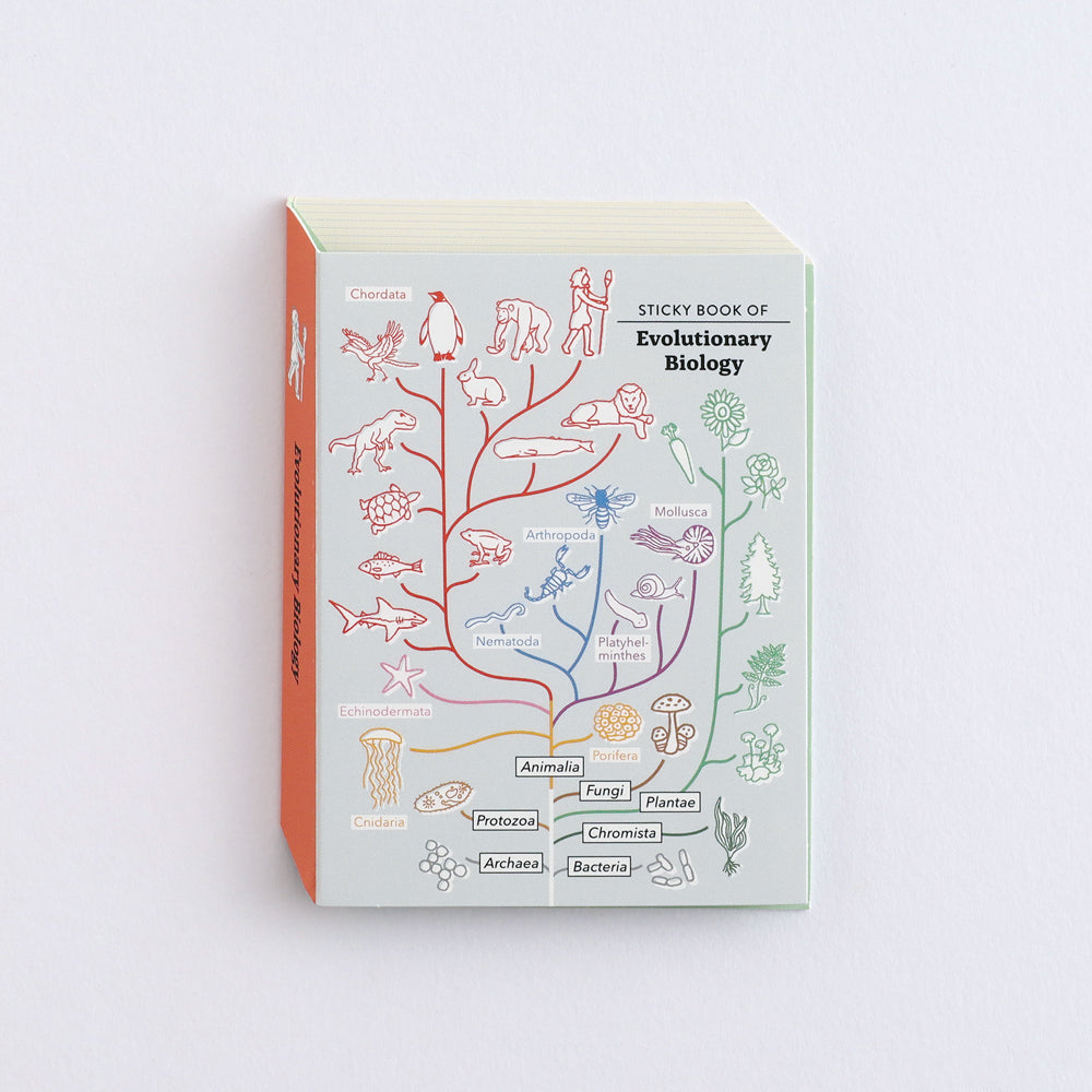 Green Flash STUDY HOLIC series Sticky Book
