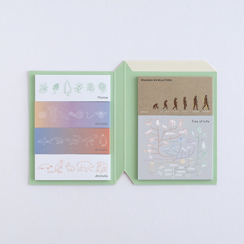 Green Flash STUDY HOLIC series Sticky Book