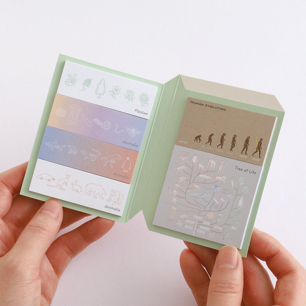 Green Flash STUDY HOLIC series Sticky Book
