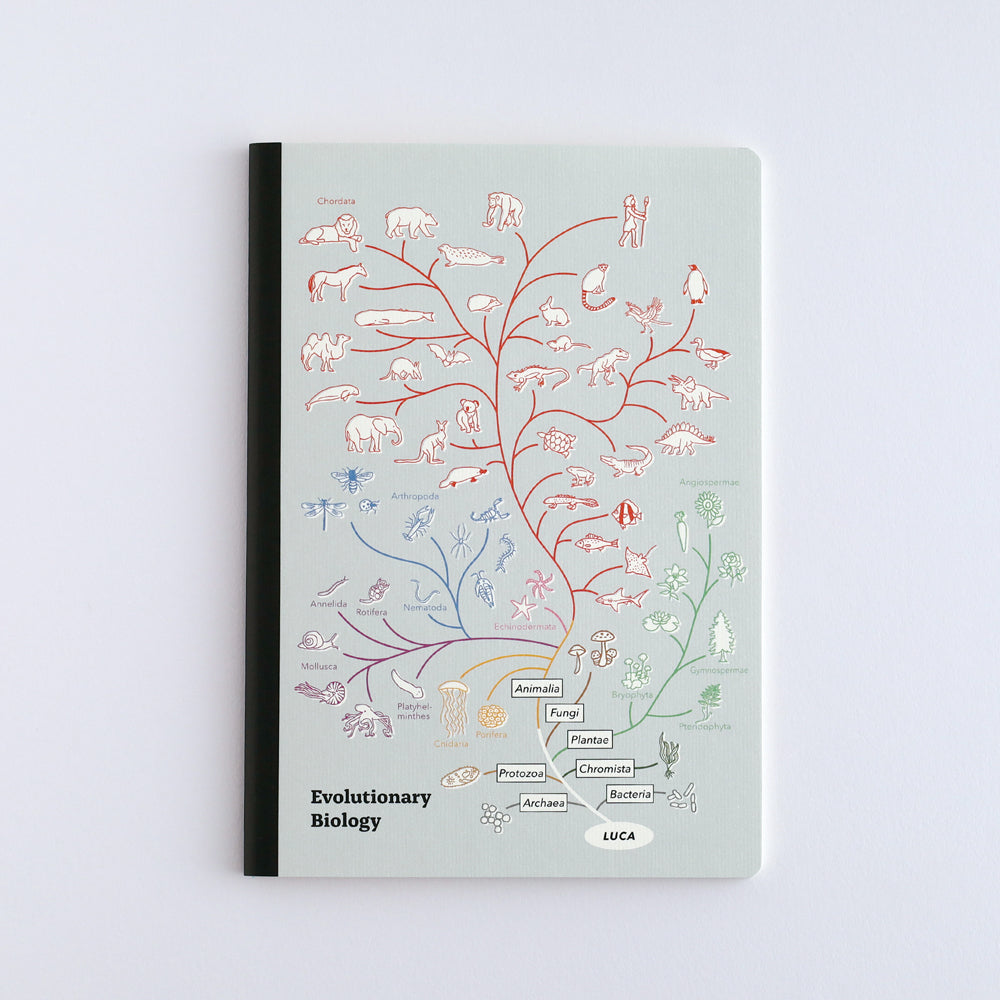 Green Flash STUDY HOLIC A5 Note Book